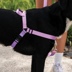 No-Pull Training Harness product image 39