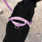 No-Pull Training Harness product image 43