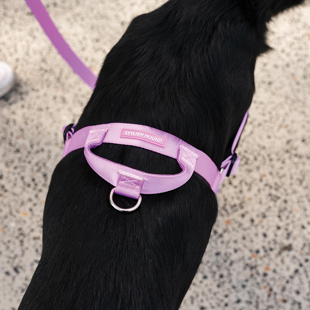 No-Pull Training Harness product image 43