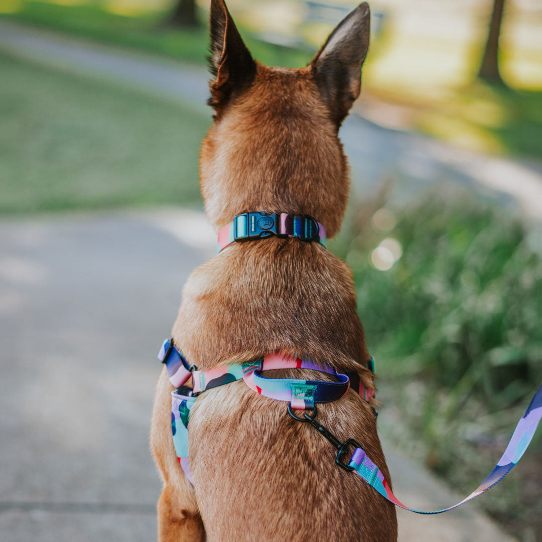 No-Pull Training Harness product image 52