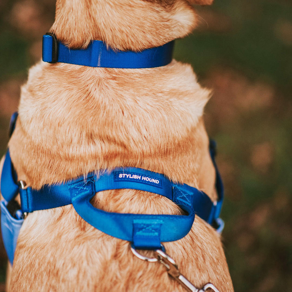 No-Pull Training Harness product image 57