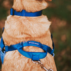 No-Pull Training Harness product image 57
