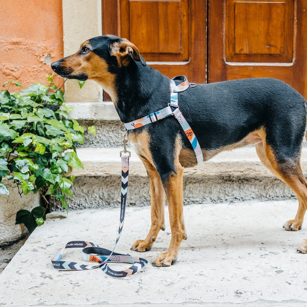 No-Pull Training Harness product image 60