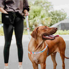 No-Pull Training Harness product image 62