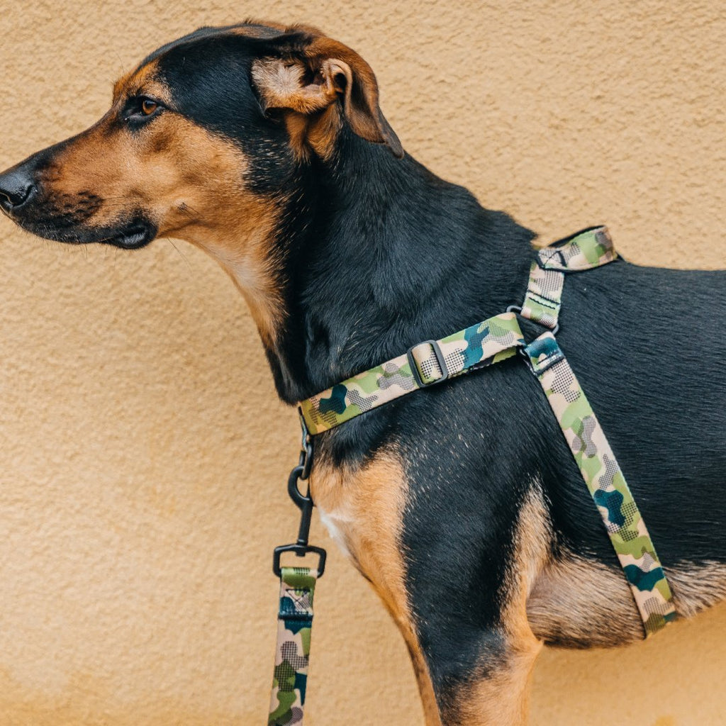 No-Pull Training Harness product image 63