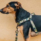 No-Pull Training Harness product image 63