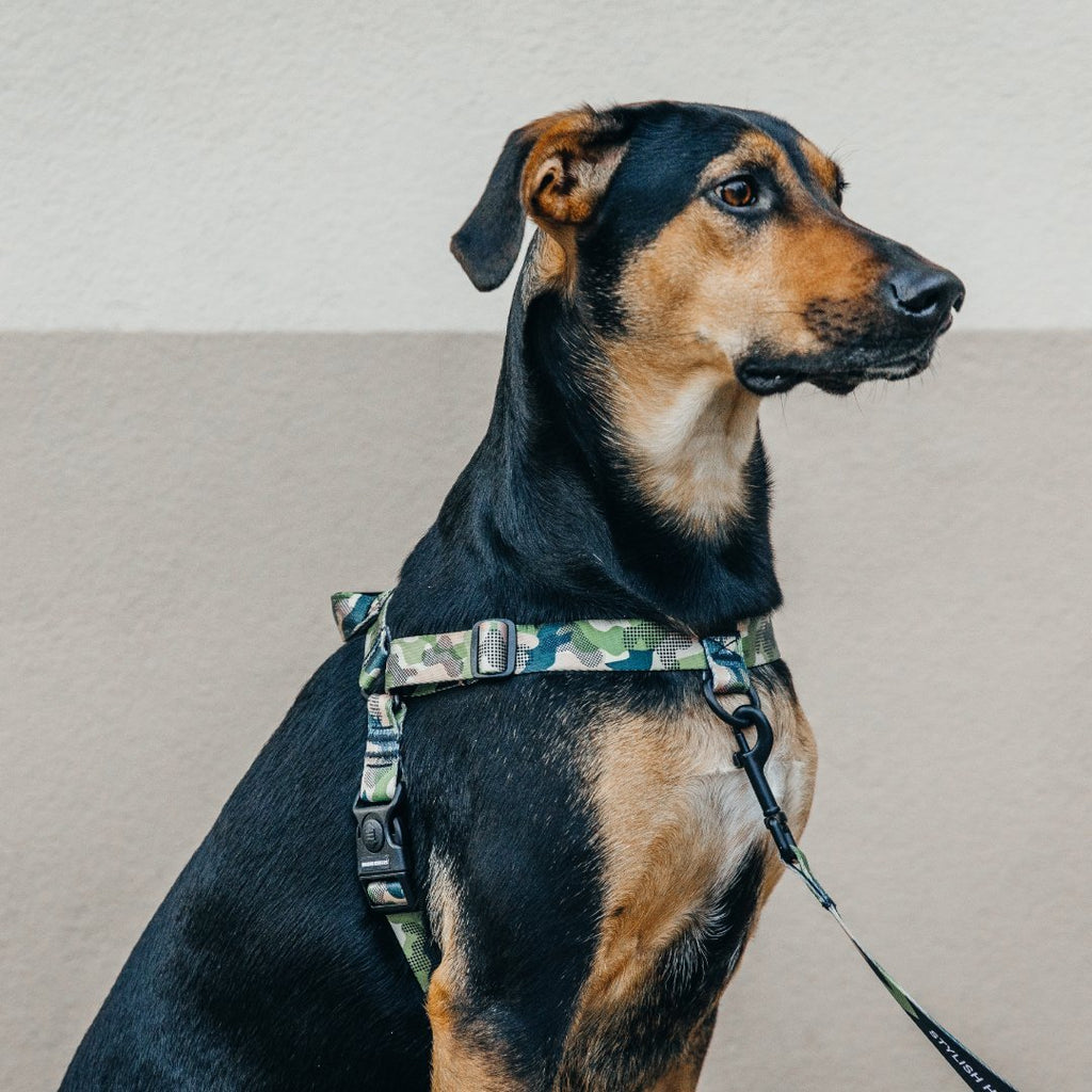 No-Pull Training Harness product image 68
