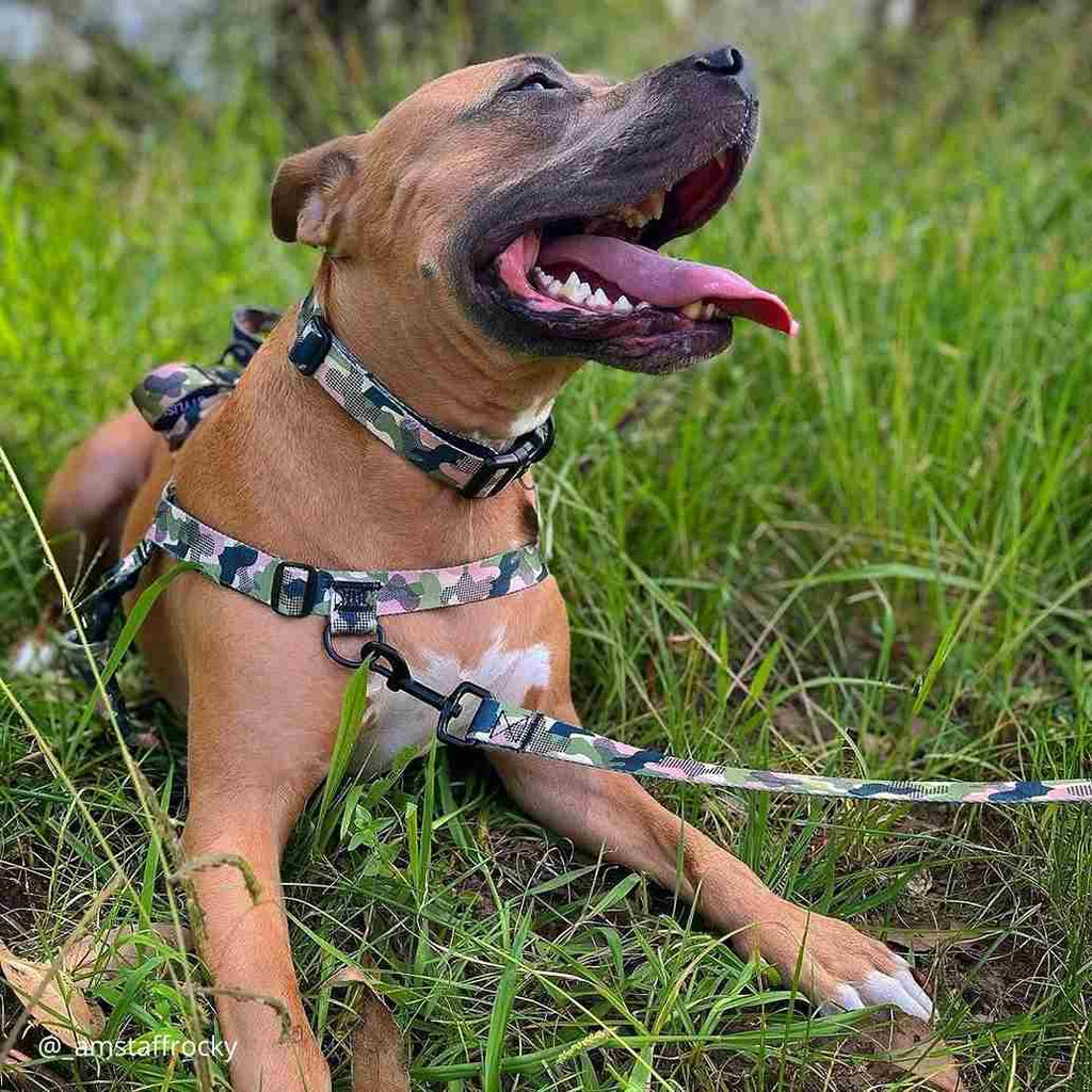 No-Pull Training Harness product image 69