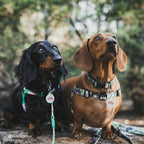 No-Pull Training Harness product image 70