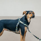 No-Pull Training Harness product image 71