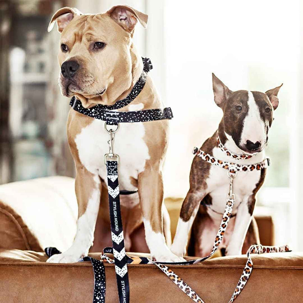 Dog Leash product image 33