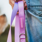 Dog Leash product image 41