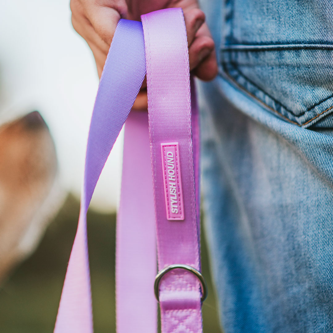 Dog Leash product image 41