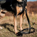 Dog Leash product image 43