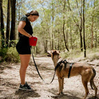 Dog Leash product image 48