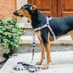 Dog Leash product image 57