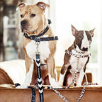 Dog Leash product image 71