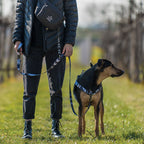 Dog Leash product image 73