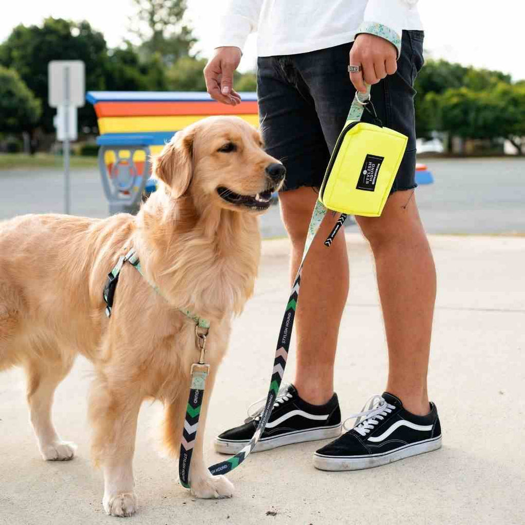 Dog Leash product image 80