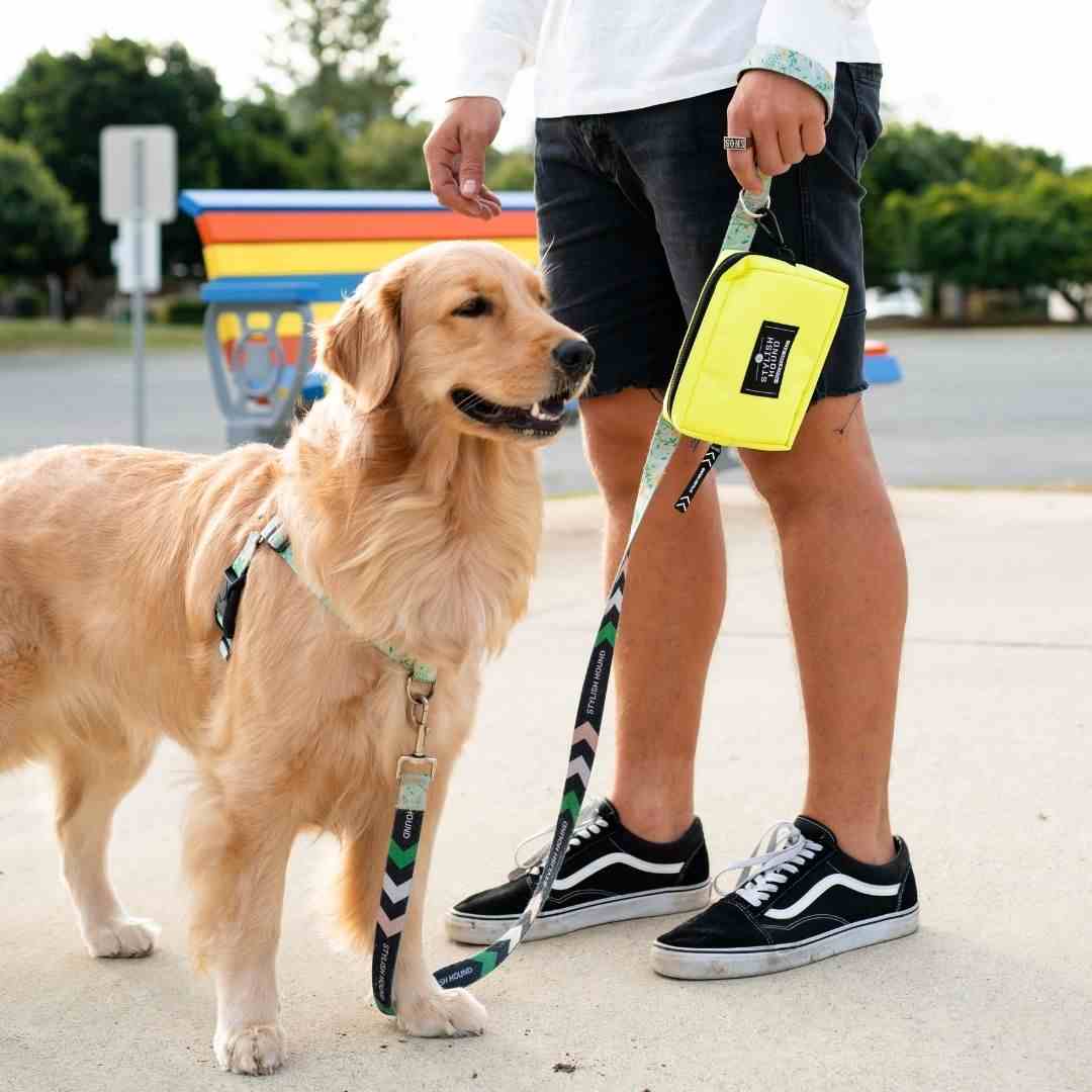 Dog Leash product image 80