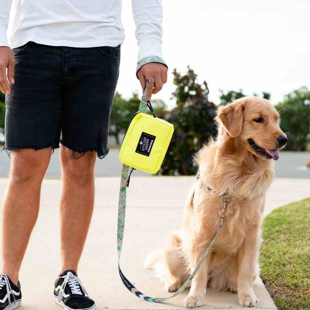 Dog Leash product image 81