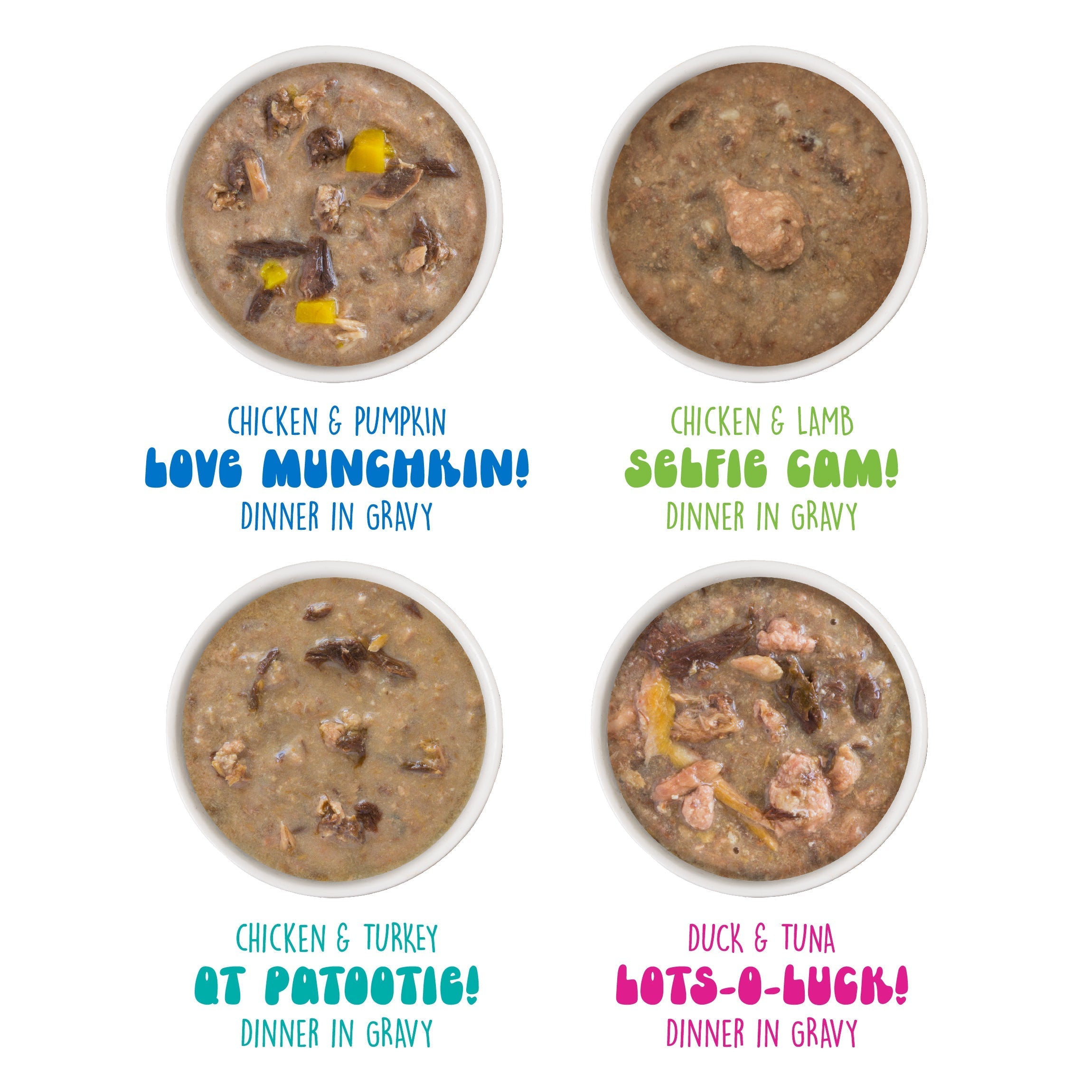 Four bowls of BFF Best Feline Friend It's Gravy, Baby! cat food are shown from above, each labeled with a flavor—Chicken & Pumpkin, Chicken & Lamb, Chicken & Turkey, and Duck & Tuna—with colorful fonts underneath.