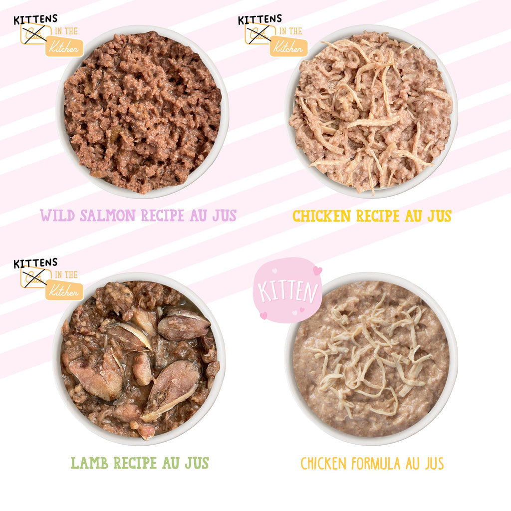 Four bowls of Weruva’s Kitchen For Kittens food by Cats in the Kitchen—featuring boneless, skinless wild salmon, chicken, and lamb—sit on a pastel-striped background with logos, supporting kitten health.