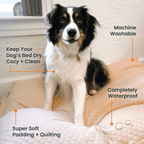 Dog Bed Cover product image 2