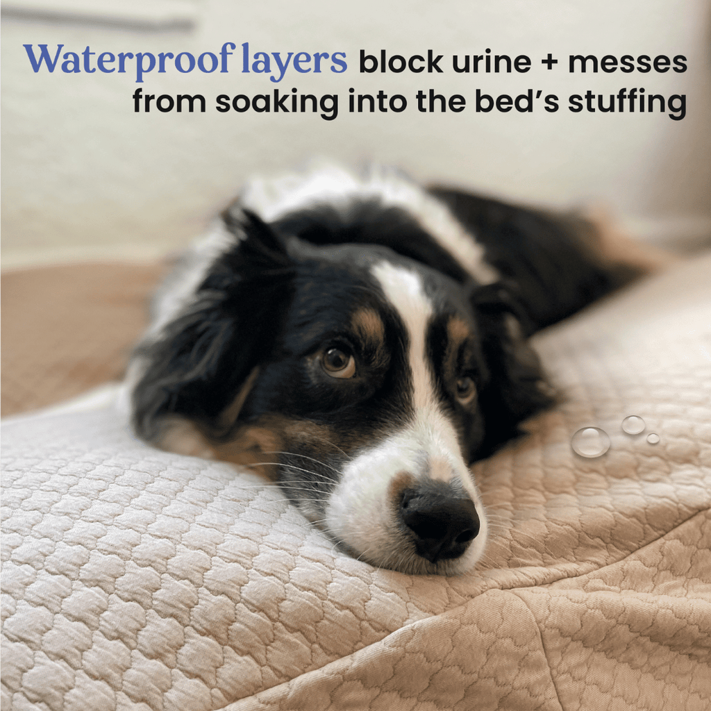 Dog Bed Cover product image 5