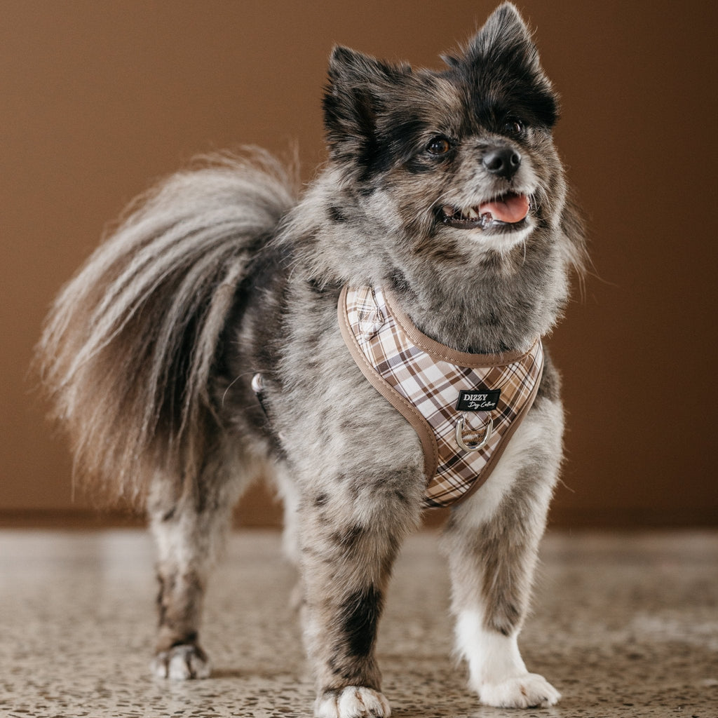 Adjustable Dog Harness product image 2