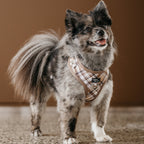 Adjustable Dog Harness product image 2