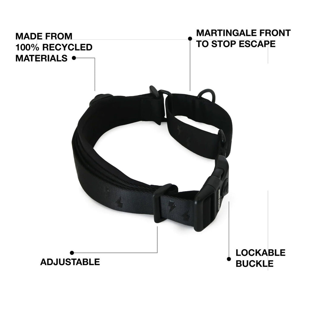 Martingale Dog Collar product image 2