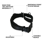 Martingale Dog Collar product image 2