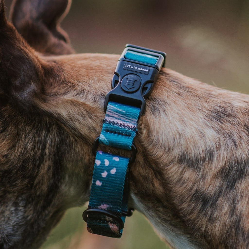Martingale Dog Collar product image 5