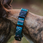 Martingale Dog Collar product image 5