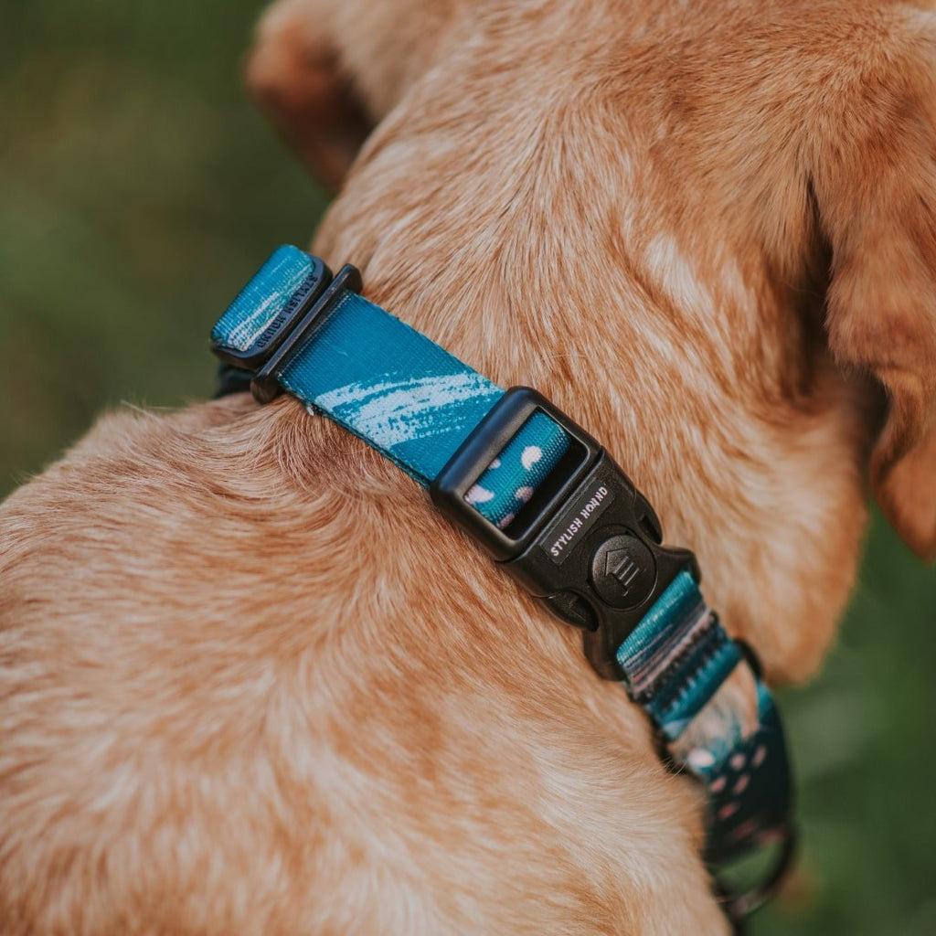 Martingale Dog Collar product image 8
