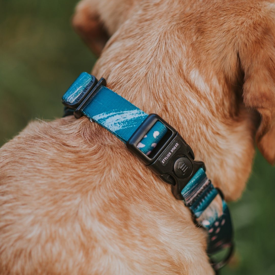 Martingale Dog Collar product image 8