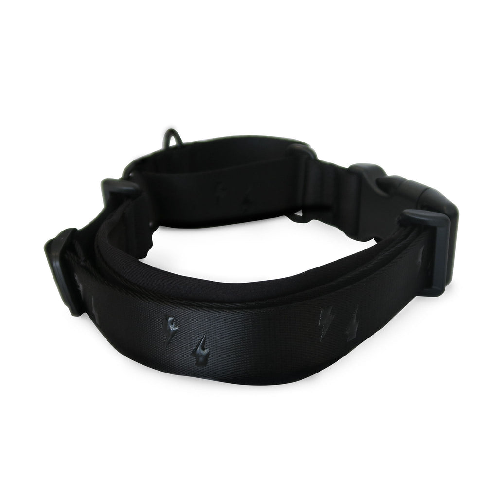 Martingale Dog Collar product image 13