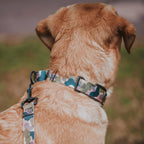 Martingale Dog Collar product image 22