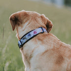 Martingale Dog Collar product image 26