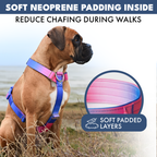 No-Pull Dog Harness Walking Set product image 40