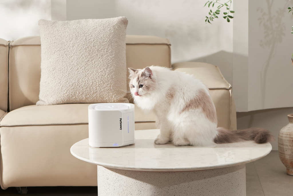 Pet Water Fountain product image 1