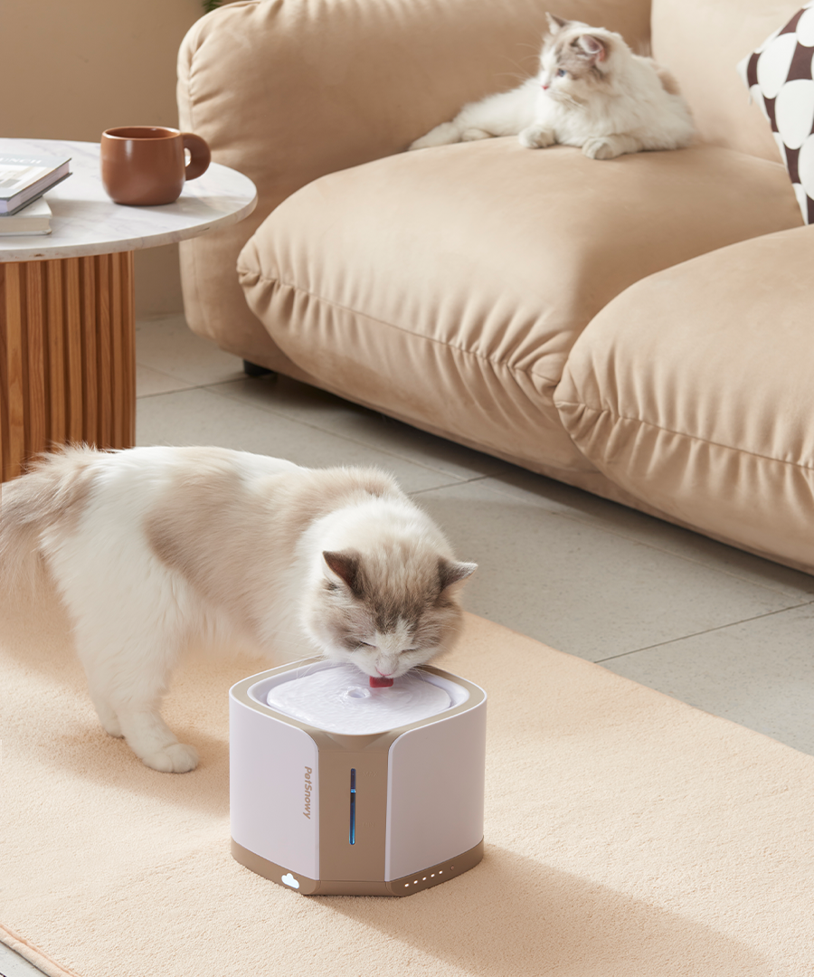 Pet Water Fountain product image 12