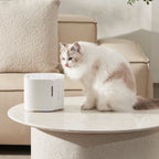 Pet Water Fountain product image 46