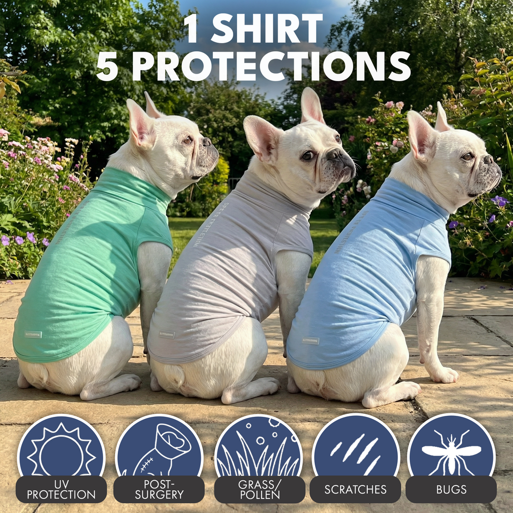 UPF 30 Dog Sun Shirt product image 50