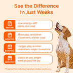 Liquid Dog Wellness Supplement product image 5