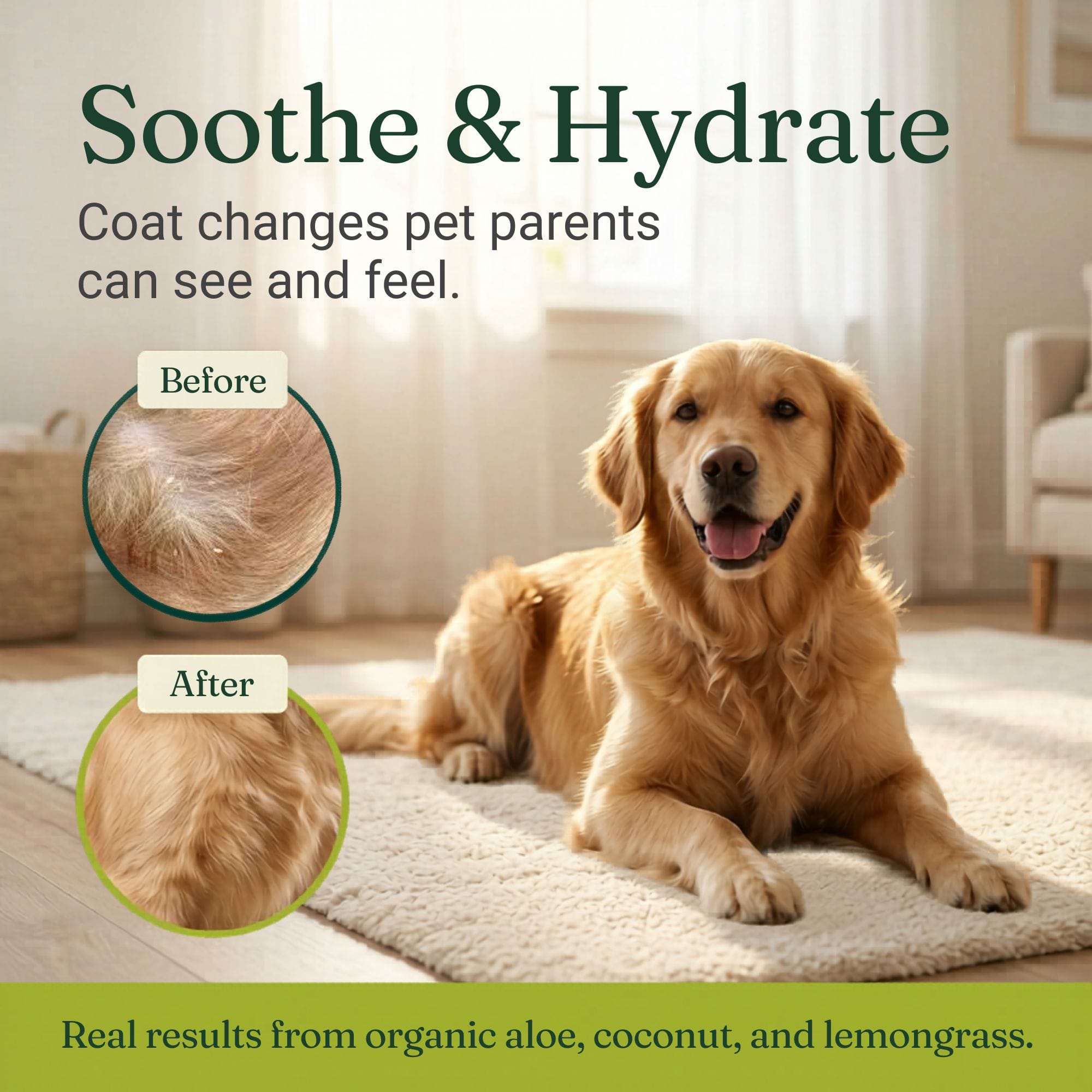 Organic Dog Shampoo product image 7