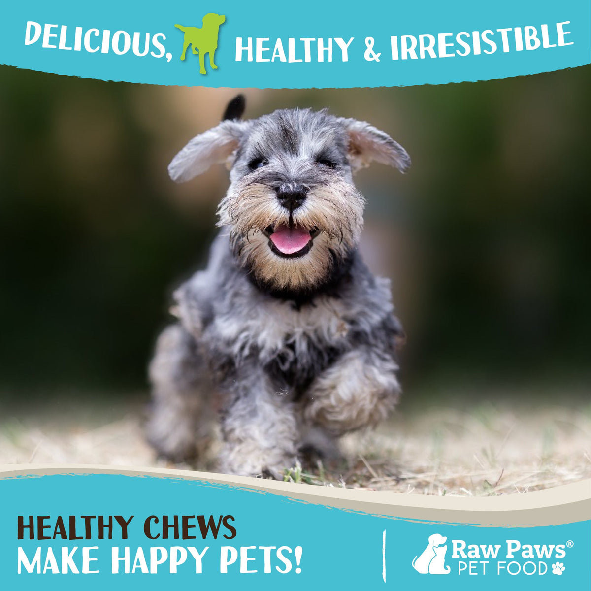 Dog Treats, Wild-Caught Rabbit 6 oz for Training Rewards and Everyday Tail-Wagging Moments