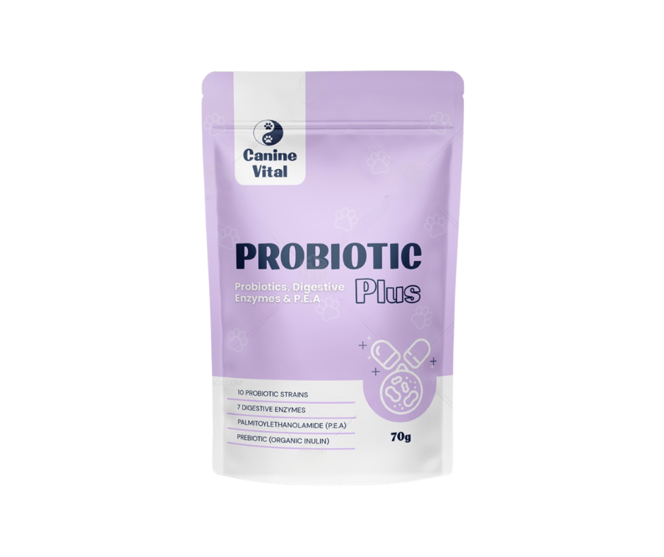 Dog Probiotic Powder product image 1