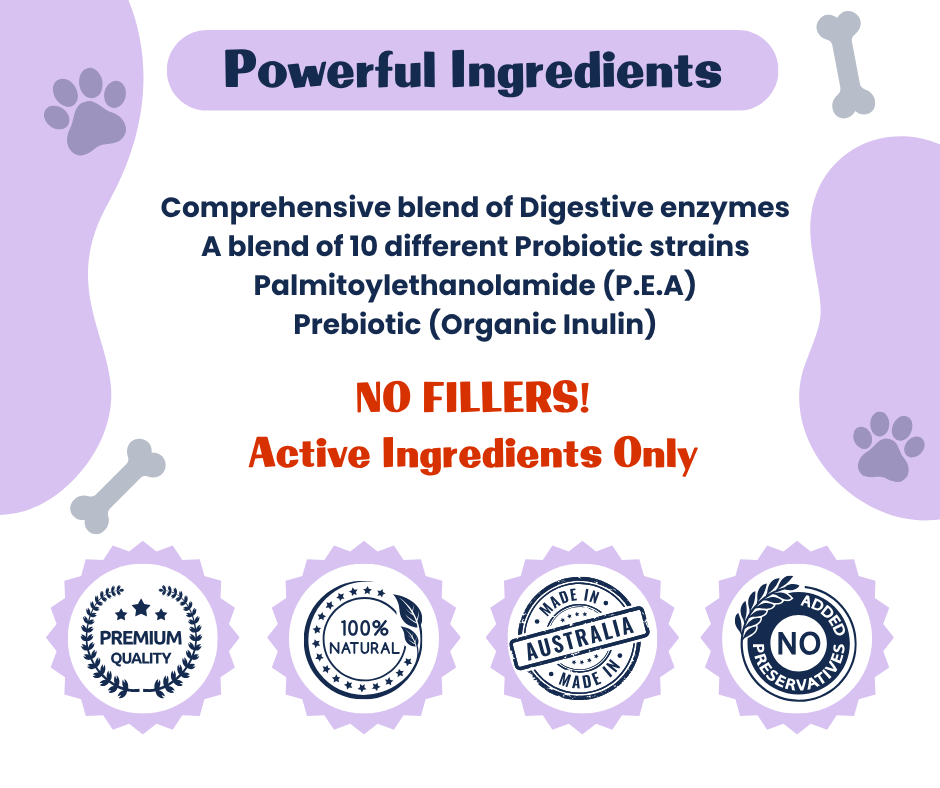 Dog Probiotic Powder product image 2